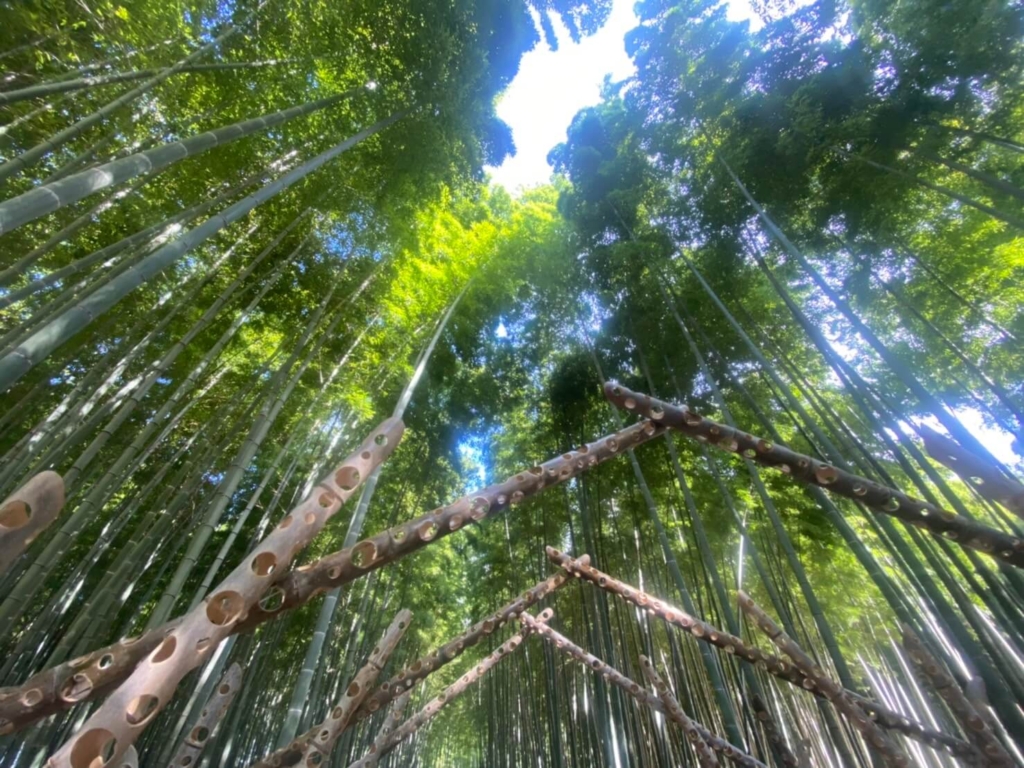 竹のトンネル